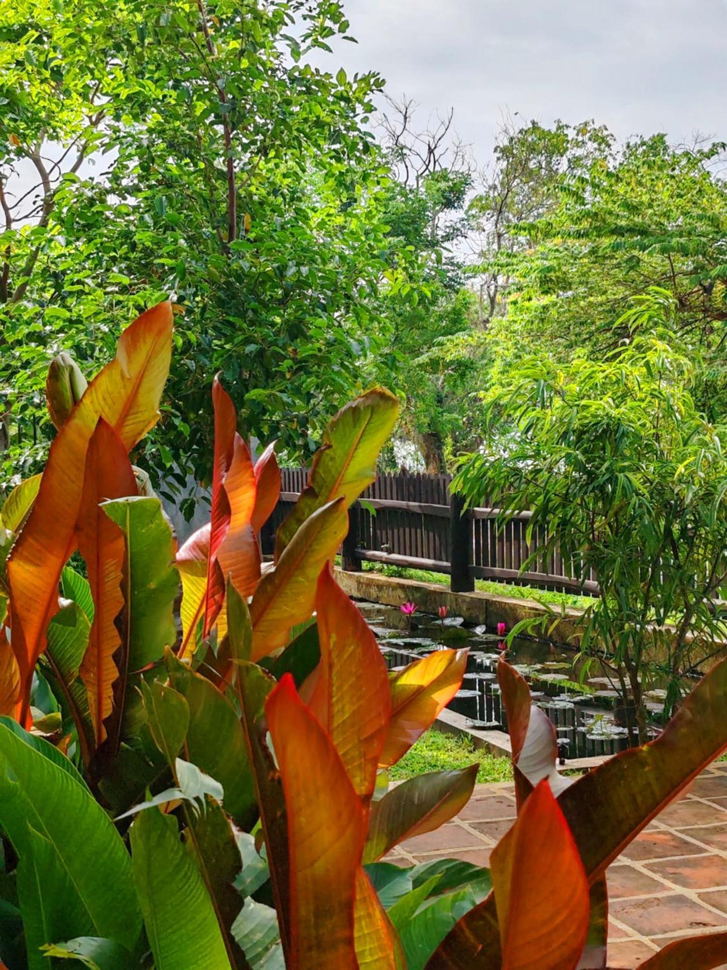 Art Yala Boutique Resort Tissamaharama Exterior foto