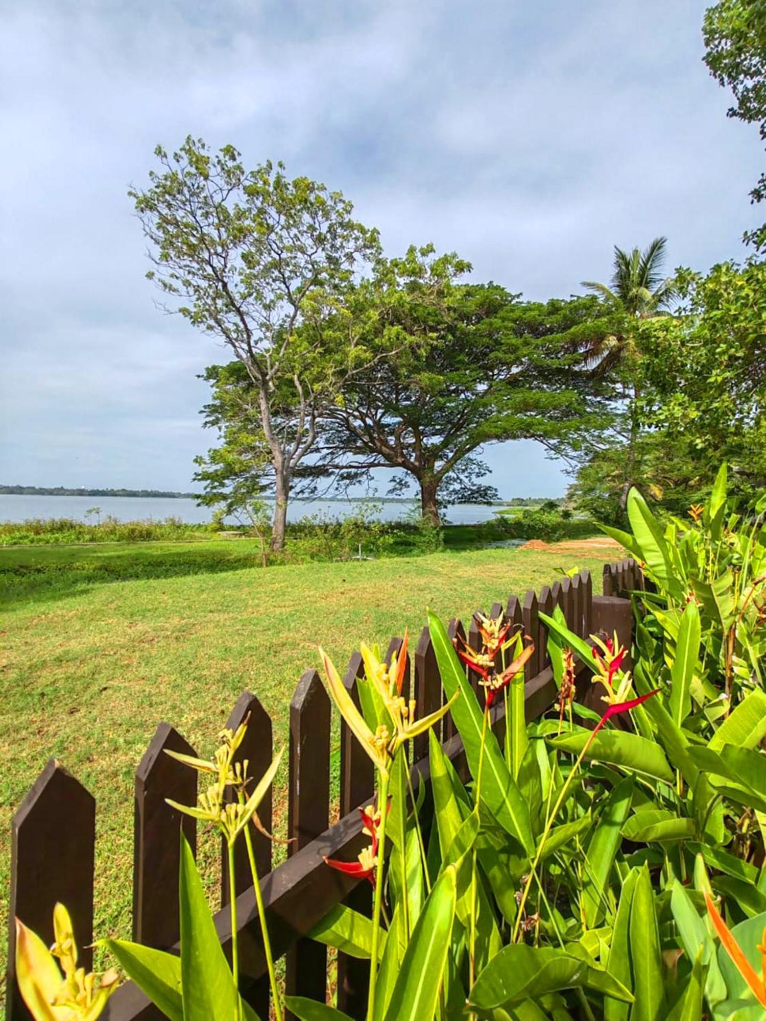 Art Yala Boutique Resort Tissamaharama Exterior foto